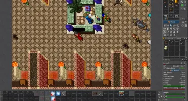 Elder Druid lvl 213 ML 81 com RK