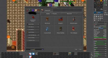 Elder Druid lvl 213 ML 81 com RK