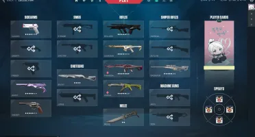 Conta Valorant Muitas Skins!! 1.300R$ Gastos