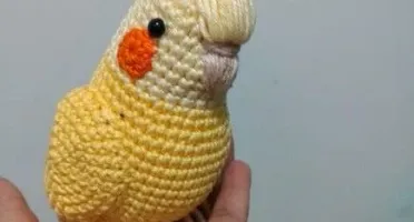 Amigurumi Calopsita