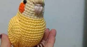 Amigurumi Calopsita