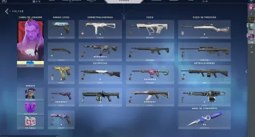 Vendo Conta de Valorant Com Varias Skins e Ja foi Imortal