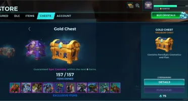 Conta Paladins