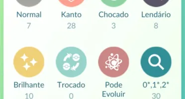 POKEMON GO LVL 33