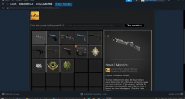 Conta csgo com prime e 2k horas, level 14 steam