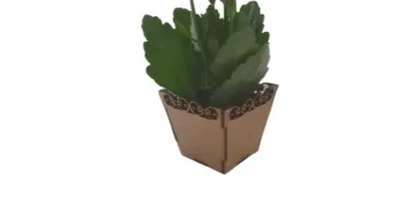 Kit Mini Vaso para Suculentas em MDF, cachepot. 6x6,4cm...