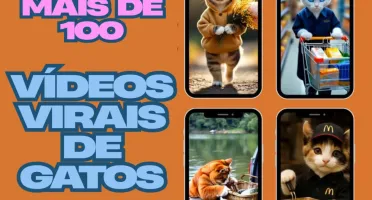 Reel's Gatos Virais