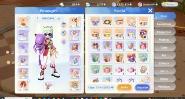 Conta Ragnarok Origin lvl 87