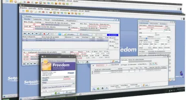 Erp Para Empresas Freedom - Envio Imediato Sistema de Gestão