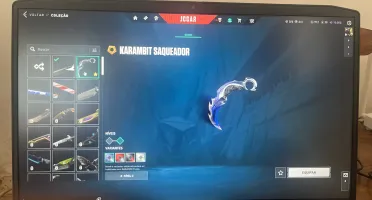 1100 R$ em skins/Pacote Ora/Vandal Gaia-Gatinho/Phantom Game