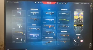 1100 R$ em skins/Pacote Ora/Vandal Gaia-Gatinho/Phantom Game