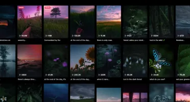 Mega Pack Tik-Tok - Shorts - Instagram - +10Mil Videos