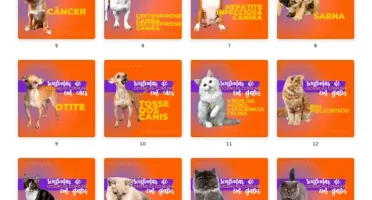 Pack Canva Petshop Vol 2 - 100 Artes Editáveis