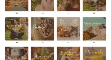 Pack Canva Petshop Vol 2 - 100 Artes Editáveis