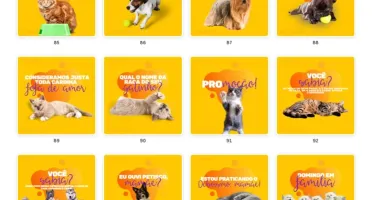 Pack Canva Petshop Vol 2 - 100 Artes Editáveis