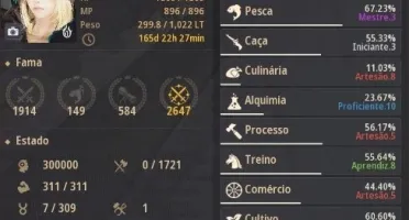 CONTA BDO SERVER SA - ZERKER