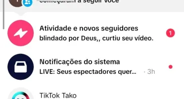 Conta Tiktok Com 22,4K Seguidores Reais