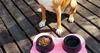 Tapete Pet em Crochê