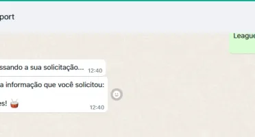 Conta Riot - Acesso ao Valorant e LoL - muitas skins