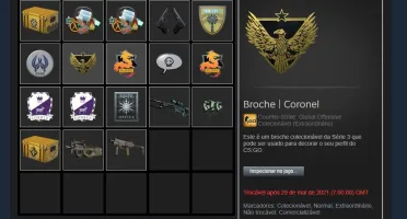 Conta Steam com 1008 mil reais em broches!