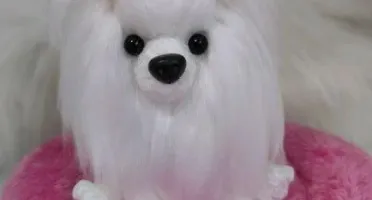 Mini Pet Cachorrinho- Amigurumi de Crochê