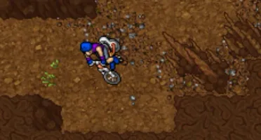 char lv 580+ sv gold chosen shiny machamp gardestrike bike