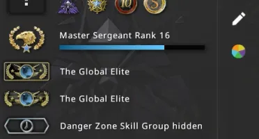 ⭐ 19 Anos/ Global Elite/ Csgo 4 Medalhas/ 9700H/ 197 Wins...