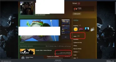 conta lvl 20 gc, 2500 horas, prime, águia 1, vários jogos
