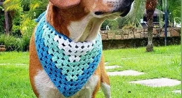 Bandana Pet em Crochê