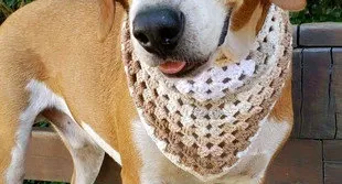 Bandana Pet em Crochê