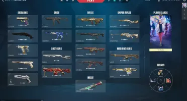 Conta Top / Skin Comprada Pra 16 Das 17 Armas