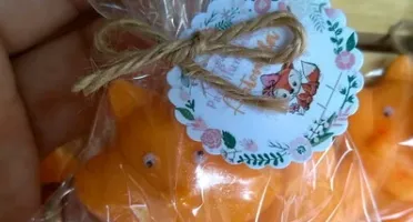 Sabonete Raposa