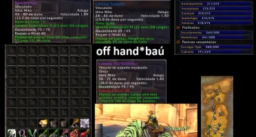 WoW classic Rogue Lv 43