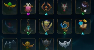 ACC FULL CHAMP 180 SKINS