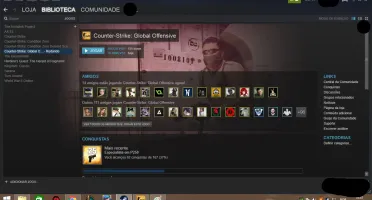Conta Steam Nivel 14 (CS:GO - Guardião Mestre II)