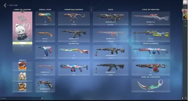 Conta Valorant, Muitas Skins