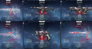 Conta Valorant, Muitas Skins