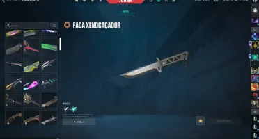 conta valorant completa peak imortal