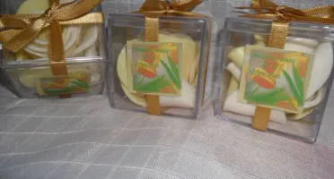 Pétalas De Sabonete