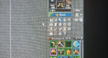 RP 339 -nonpvp /MS 171 -pvp /EK 144 -pvp /ROOKER 25+ /Makers