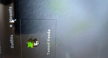 VENDO MS 187 EM PACERA OPTICIONAL PVP
