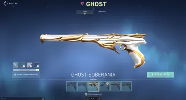 CONTA DO BETA CHEIA DE SKIN
