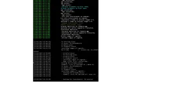 SCRIPT PROFISSIONAL PARA JOGAR AUTOMATICAMENTE