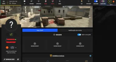 Conta CS2  Level 19 Gamers Club