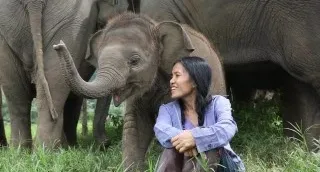 Por DFG: Instituto Elephant Nature Park
