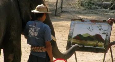 Por DFG: Instituto Elephant Nature Park
