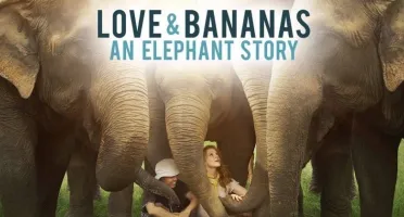 Por DFG: Instituto Elephant Nature Park