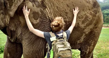 Por DFG: Instituto Elephant Nature Park