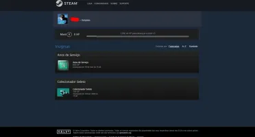 CONTA OLD STEAM 16 ANOS MEDALHAS 5 E 10 ANOS + 4 JOGOS