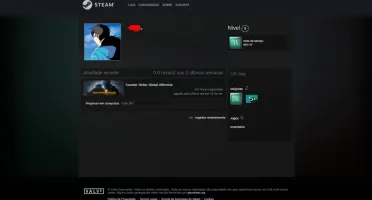 CONTA OLD STEAM 16 ANOS MEDALHAS 5 E 10 ANOS + 4 JOGOS